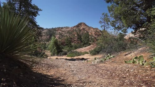 Dolly Shot im Zion-Nationalpark 3
