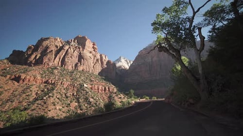 Roadside Scene In Zion National Park 5