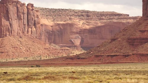 Wild Horses Near Monument National Park 2