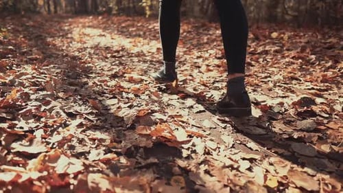 Close-up Back View of Female Feet Walking in Autumn Woodland