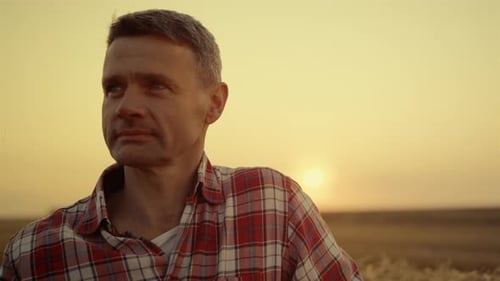 Happy Farmer Standing in Wheat Field at Golden Sunset Hour