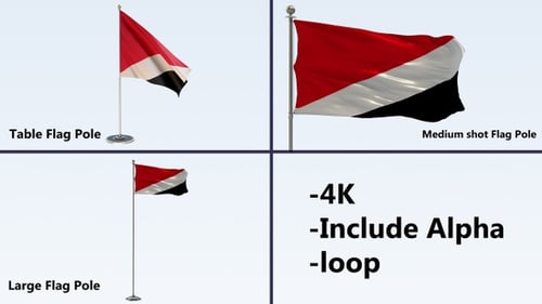 Realistic Waving Flag Animation with Alpha Channel and Pole