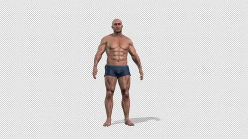 Fit To Fat While Standing Idle