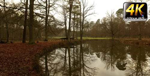 The Lake and Tree Reflection on Water 2