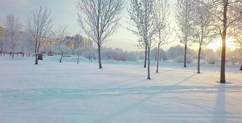 Aerial Winter City Park 6