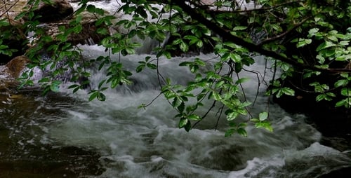River in the Mountains 1
