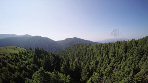 Above the Green Spruce Fir Forest