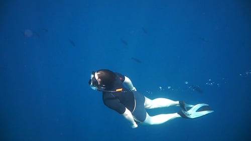 Snorkeler Diving