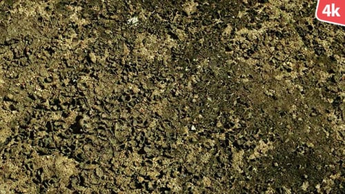 Close Up of Cracked Dry Earth