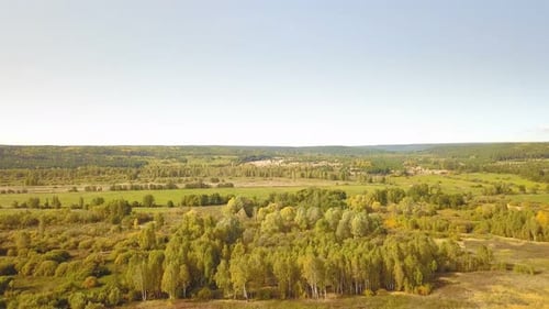 Autumn Forest From Above