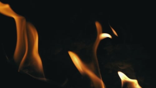 Close-up of Fire Flames on Black Background