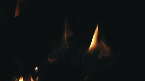 Golden Flames Dance in the Dark