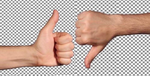 Like Dislike
