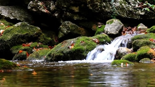 Peaceful Waterfall