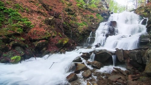 Beautiful Waterfall Flowing Over Mossy Rocks in Forest