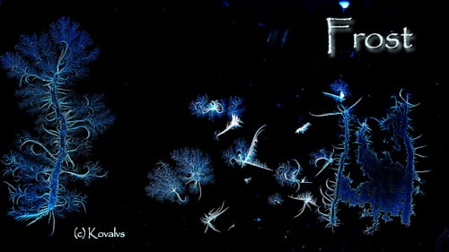 Abstract Ice Crystals Forming on Black Background