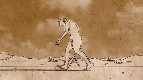 Hand-Drawn Sketch Animation Illustrating Human Evolution