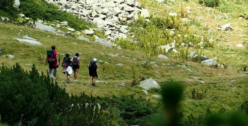 Hikers Trekking Through Green Mountain Landscape