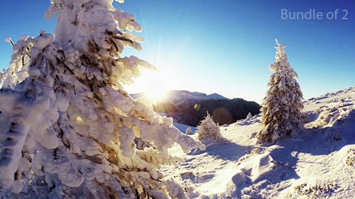 Snow Covered Trees in a Mountain Winter Landscape