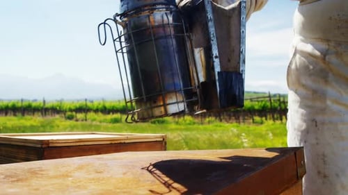 Close-up of beekeeper keeping bee smoker on honeycomb box