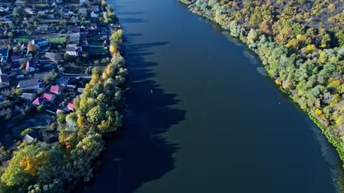 Forest with Red and Yellow Trees Aerial Top View