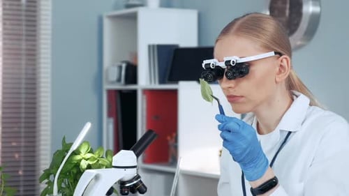 Young Scientist Examining Leaf with Magnifying Glasses