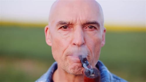 bald headed teacher tobacco 4 Noggins Bread Loaf The Pipe Professor Male Bald Beard Teaching Stock