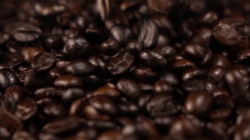 Kaffeebohnen fallen