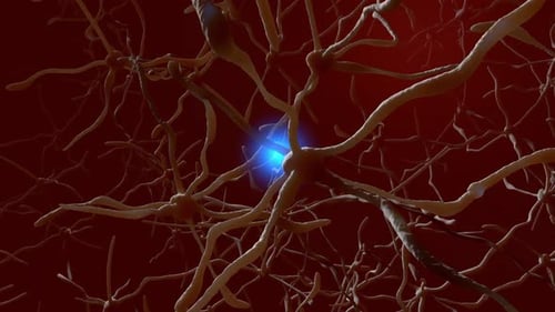 Brain Neurons Firing Signal Impulse Loop