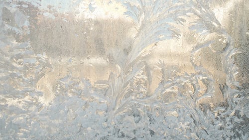Intricate Frost Patterns Forming on a Window