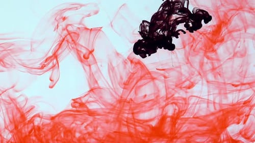 Red and Black Ink Swirling in Water