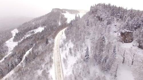 Aerial View Flight Above Snow Winter Forest