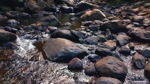 Cascada que fluye en la roca