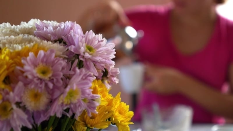 Woman Pouring Tea Into Ceramic Mug on Wooden Garden Table, Food Stock ...