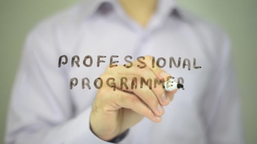 Professional Programmer