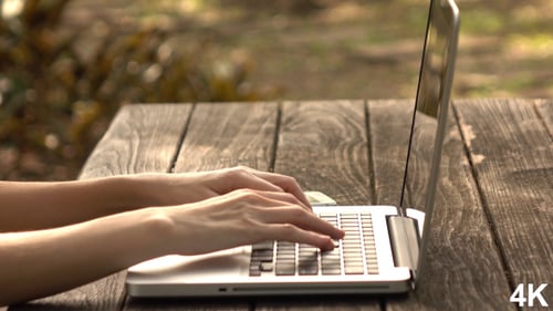 Working On Computer At Park