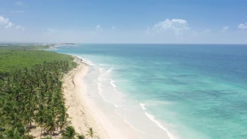 Aerial View of Tropical Beach Paradise