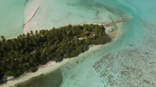 Drone flight over the Maldivian coast with many green trees, view from the ocean against the backdro