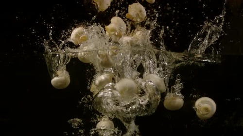 Mushrooms falling and floating in water, Ultra Slow Motion