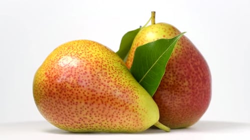 Close Up of Ripe Pears with Green Leaves