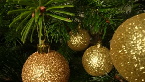 Gold Ornaments on Christmas Tree Branches