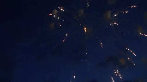Beautiful Colorful Fireworks Show in Night Sky