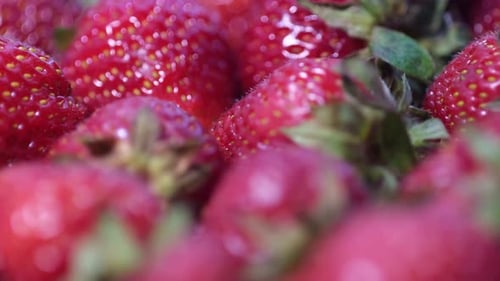 Fondo de fresa fresca