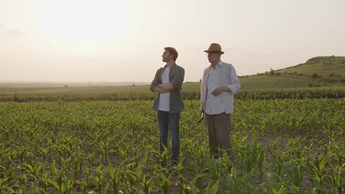 Two Farmers Standing in a Vibrant Green Cornfield