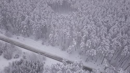 Aerial View of Snowy Forest with a Road. Captured From Above with a Drone.