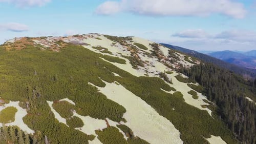 Evergreen Forest on Top of High Stone Mountain Under Blue Sky
