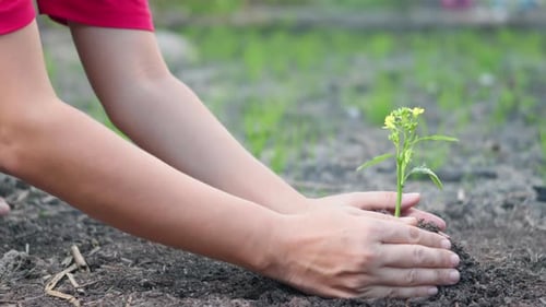 Что означает имя Матрена: тайна судьбы, характер и скрытая сила