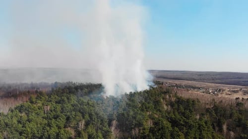 A Large Area of Forest Is Burning. Aerial Large-scale Forest Fire. Fire in the Pine Forest View From
