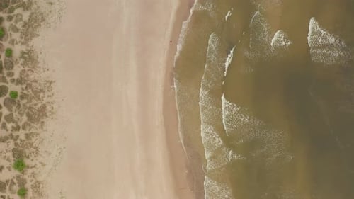 Generic Beach Overhead Aerial Shot of Person Walking on the Beach in Nature