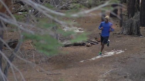 Ein junger Mann beim Trailrunning in einem Wald in den Bergen.